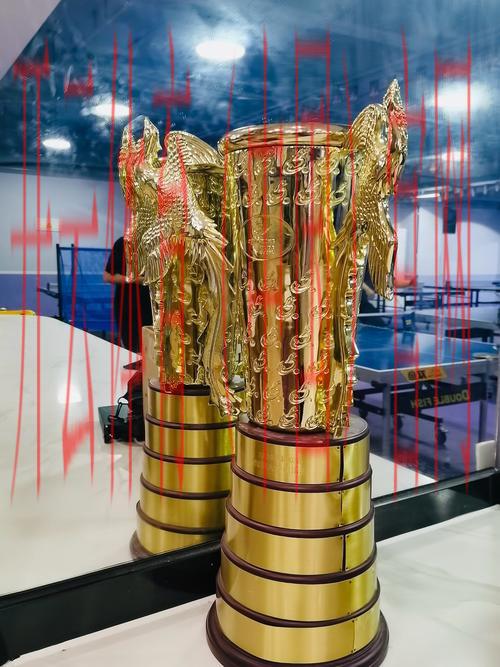 烽火体育之家 金皇冠, 打造极致体验，烽火体育之家带你领略金皇冠的魅力