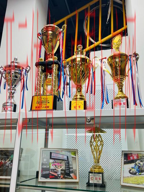 烽火体育之家 金皇冠, 打造极致体验，烽火体育之家带你领略金皇冠的魅力